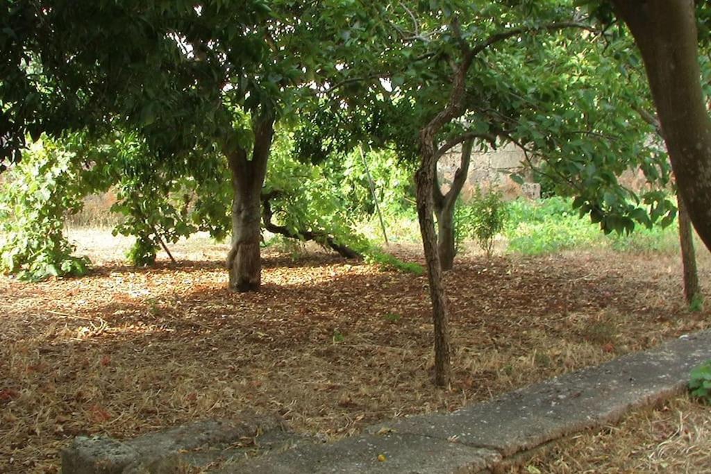 Villa Nel Salento - Ampie Camere E Giardino, Fino A 9 Persone Barbarano del Capo Luaran gambar