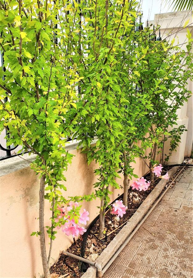 Villa Nel Salento - Ampie Camere E Giardino, Fino A 9 Persone Barbarano del Capo Luaran gambar